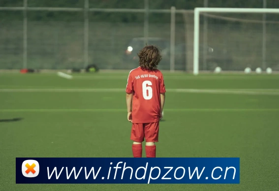 开云官方登陆入口平台生态图